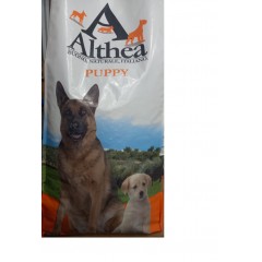 ALTHEA PUPPY (15 kg)