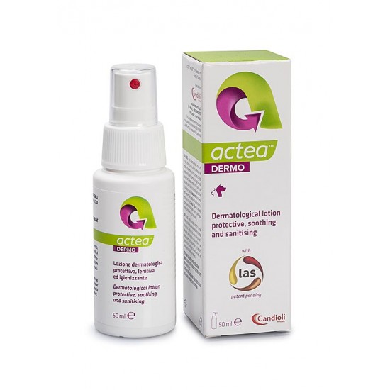 ACTEA DERMO (50 ml)